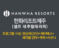 한화 테라피